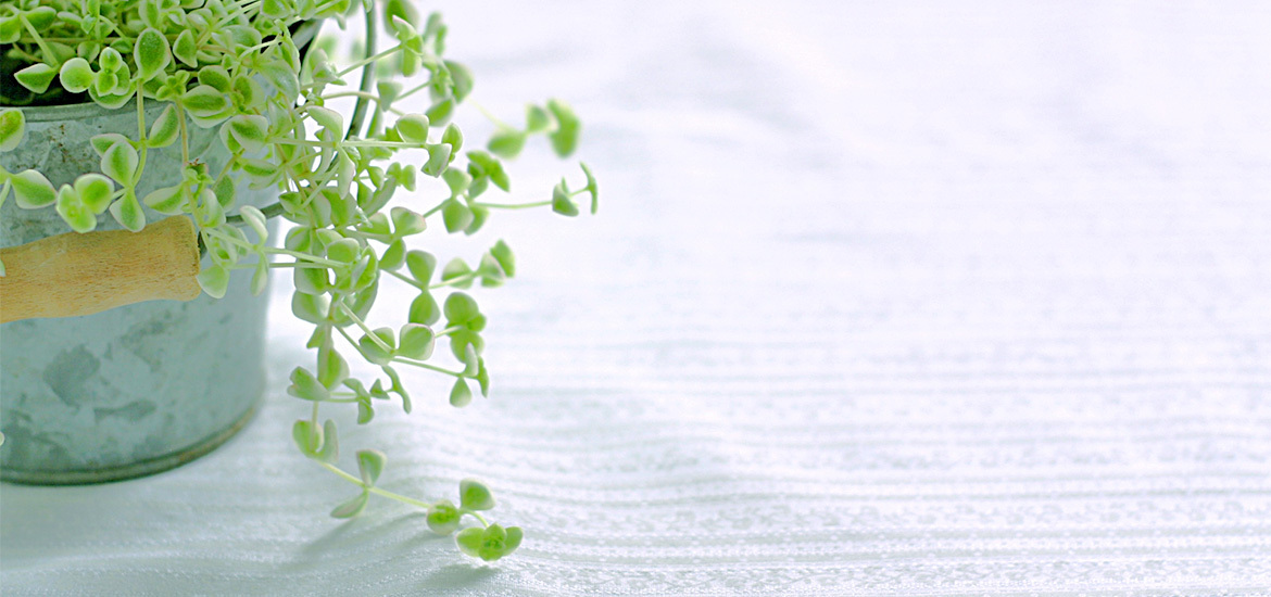 甲府市砂田町 皮膚科 アレルギー科